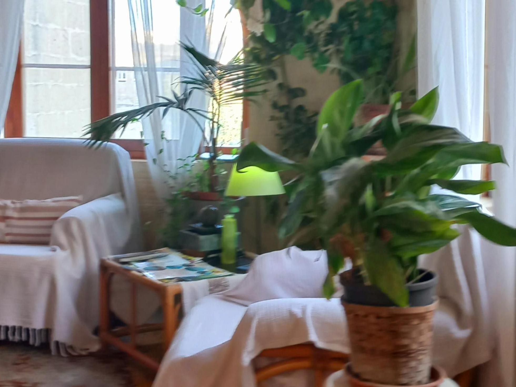 Ta' Didi B&B Kerċem Εξωτερικό φωτογραφία